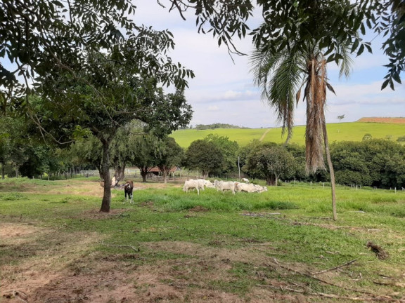 Imagem Imóvel à Venda, 41 m² em área Rural De Duartina - Duartina Imagem Imóvel à Venda, 41 m² em área Rural De Duartina - Duartina