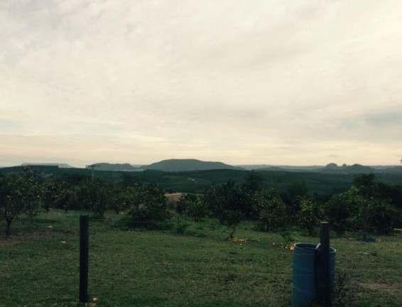 Imagem Chácara à Venda, 35.000 m² em Rural - Bofete