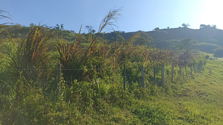 Imagem Fazenda à Venda, 100 m² em Espírito Santo - Paraibuna Imagem Fazenda à Venda, 100 m² em Espírito Santo - Paraibuna