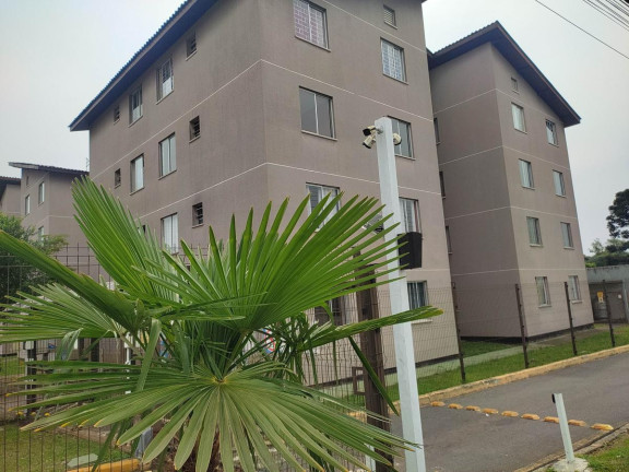 Imagem Apartamento com 2 Quartos à Venda, 44 m² em Ouro Fino - São José Dos Pinhais Imagem Apartamento com 2 Quartos à Venda, 44 m² em Ouro Fino - São José Dos Pinhais