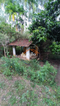 Imagem Imóvel com 3 Quartos à Venda, 25.000 m² em Jardim Primavera - Mogi Mirim Imagem Imóvel com 3 Quartos à Venda, 25.000 m² em Jardim Primavera - Mogi Mirim