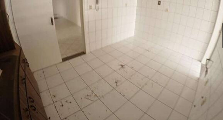 Imagem Apartamento com 3 Quartos à Venda, 200 m² em Campinas - São José Imagem Apartamento com 3 Quartos à Venda, 200 m² em Campinas - São José