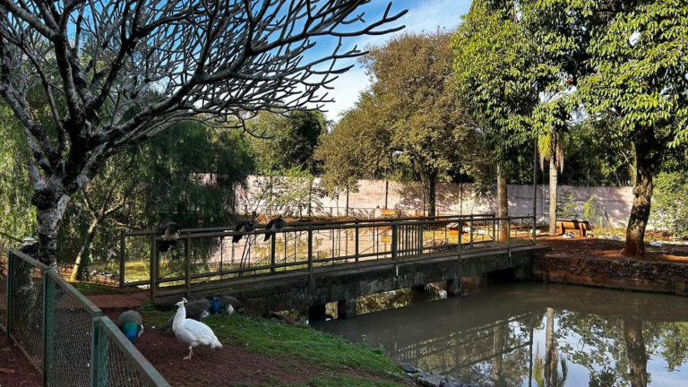 Imagem Terreno à Venda, 1.222 m² em Jardim Ana Cristina - Foz Do Iguaçu