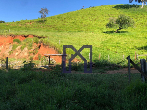 Imagem Fazenda à Venda, 390.000 m² em Wenceslau Braz - Wenceslau Braz
