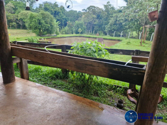 Imagem Chácara à Venda, 5 m² em Zona Rural - Bonfinópolis Imagem Chácara à Venda, 5 m² em Zona Rural - Bonfinópolis