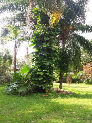 Imagem Imóvel com 3 Quartos à Venda, 5.018 m² em Caputera - Sorocaba Imagem Imóvel com 3 Quartos à Venda, 5.018 m² em Caputera - Sorocaba