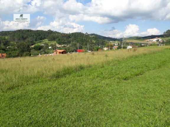 Imagem Terreno à Venda, 4.400 m² em Sorocamirim - São Roque Imagem Terreno à Venda, 4.400 m² em Sorocamirim - São Roque