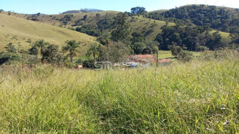 Imagem Imóvel com 1 Quarto à Venda, 290.400 m² em Sertão Velho - Lorena Imagem Imóvel com 1 Quarto à Venda, 290.400 m² em Sertão Velho - Lorena