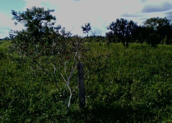 Imagem Imóvel à Venda,  em Colinas Do Tocantins - Colinas Do Tocantins