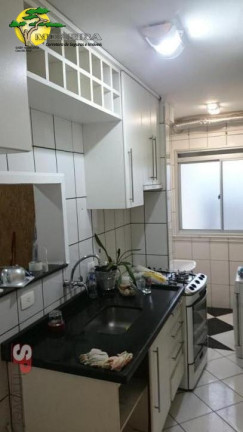 Imagem Apartamento com 3 Quartos à Venda, 56 m² em Vila Basileia - São Paulo Imagem Apartamento com 3 Quartos à Venda, 56 m² em Vila Basileia - São Paulo