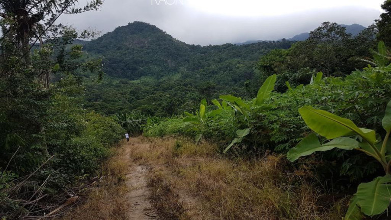 Imagem Fazenda à Venda, 840.000 m² em Mazomba - Itaguaí