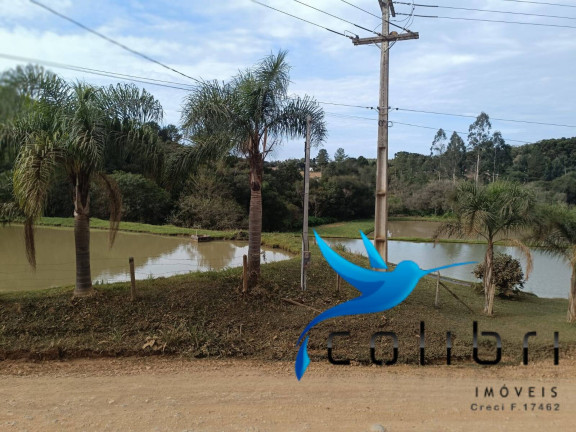 Imagem Chácara à Venda, 13.512 m² em Taquara Lisa - Agudos Do Sul Imagem Chácara à Venda, 13.512 m² em Taquara Lisa - Agudos Do Sul