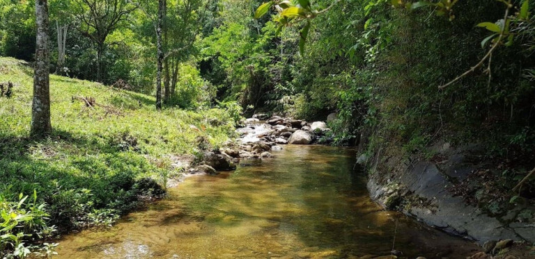 Imagem Chácara com 2 Quartos à Venda, 100 m² em Campos De Cunha - Silveiras