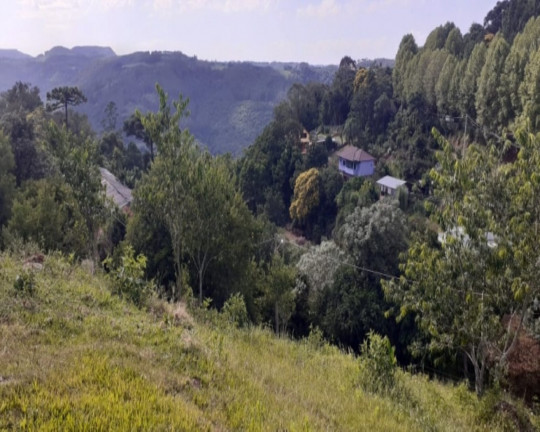 Imagem Imóvel à Venda, 969 m² em Br116 - Nova Petrópolis Imagem Imóvel à Venda, 969 m² em Br116 - Nova Petrópolis