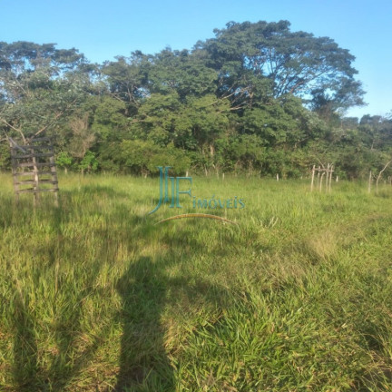Imagem Imóvel com 4 Quartos à Venda, 105.000 m² em Centro - Cajuru Imagem Imóvel com 4 Quartos à Venda, 105.000 m² em Centro - Cajuru
