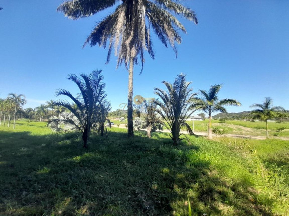 Imagem Terreno à Venda, em Cotia - Guapimirim Imagem Terreno à Venda, em Cotia - Guapimirim