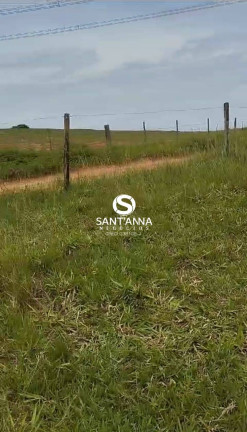 Imagem Chácara à Venda, 6.000 m² em Rural - Pedranópolis Imagem Chácara à Venda, 6.000 m² em Rural - Pedranópolis