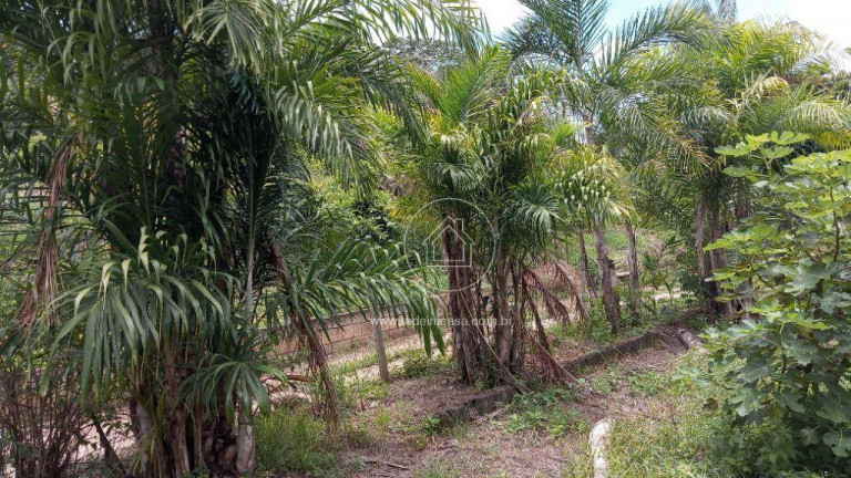 Imagem Fazenda à Venda, 870 m² em Aranha - Brumadinho Imagem Fazenda à Venda, 870 m² em Aranha - Brumadinho