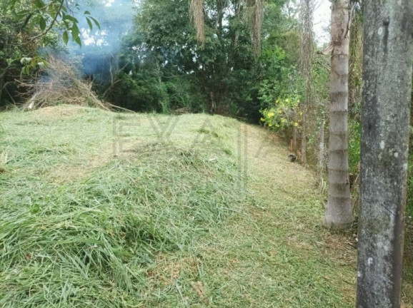 Imagem Imóvel à Venda, 1.871 m² em Chácara Represinha - Cotia Imagem Imóvel à Venda, 1.871 m² em Chácara Represinha - Cotia