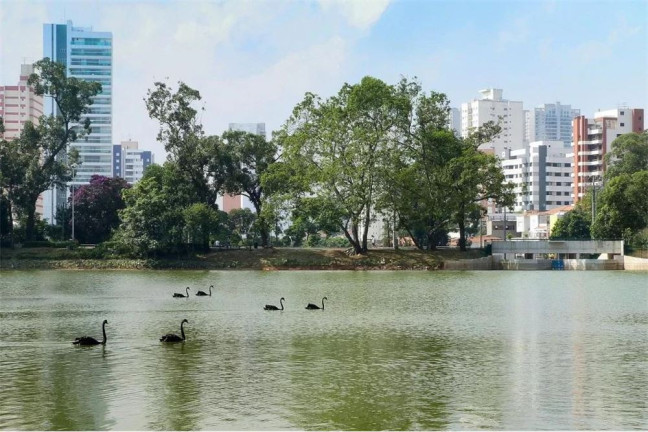 Imagem Apartamento com 3 Quartos à Venda, 162 m² em Aclimação - São Paulo Imagem Apartamento com 3 Quartos à Venda, 162 m² em Aclimação - São Paulo