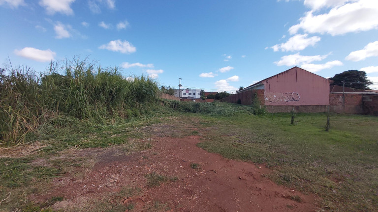 Imagem Terreno à Venda, 1.243 m² em Amambaí - Campo Grande