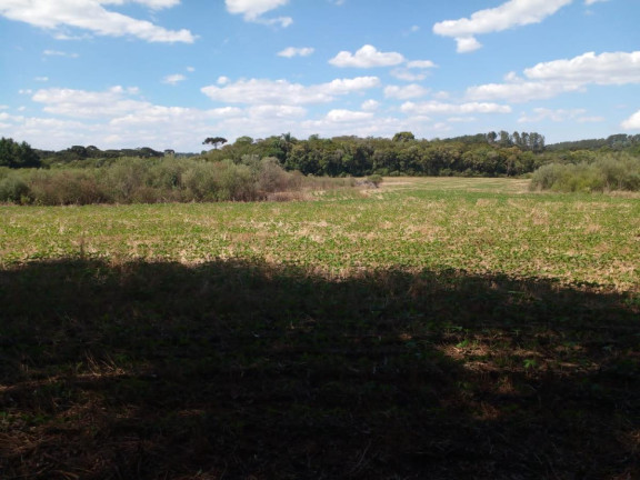 Imagem Terreno à Venda, 20.000 m² em Campo Largo Da Roseira - São José Dos Pinhais Imagem Terreno à Venda, 20.000 m² em Campo Largo Da Roseira - São José Dos Pinhais