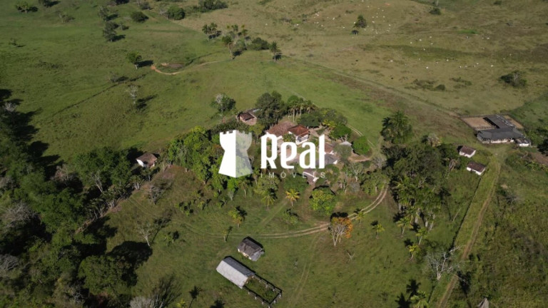 Imagem Fazenda à Venda, 1.300.000 m² em Centro - Mata De São João