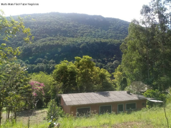 Imóvel com 3 Quartos à Venda, 70 m² em Linha Pirajá - Nova Petrópolis
