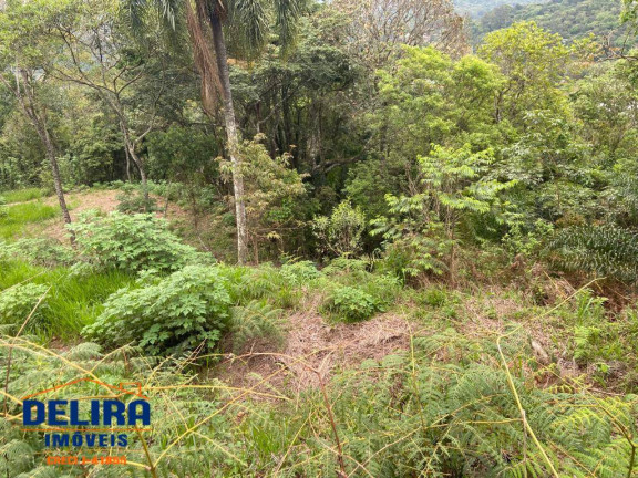 Imagem Terreno à Venda, 1 m² em Mato Dentro - Mairiporã Imagem Terreno à Venda, 1 m² em Mato Dentro - Mairiporã