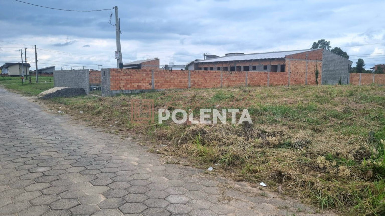 Terreno à Venda,  em Santa Cruz - Forquilhinha