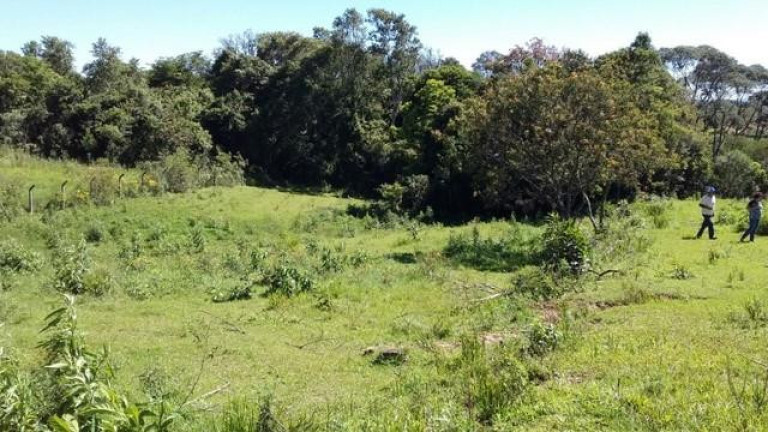 Imagem Imóvel com 4 Quartos à Venda, 300 m² em Dom Pedro - Campo Magro Imagem Imóvel com 4 Quartos à Venda, 300 m² em Dom Pedro - Campo Magro