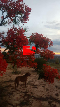Imagem Chácara com 3 Quartos à Venda, 500 m² em Paraopeba Imagem Chácara com 3 Quartos à Venda, 500 m² em Paraopeba