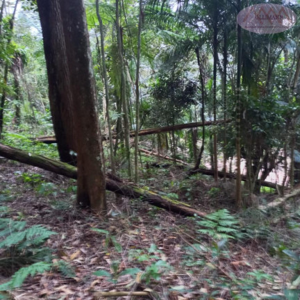 Imagem Terreno à Venda, 3.504 m² em Represa - Ribeirão Pires