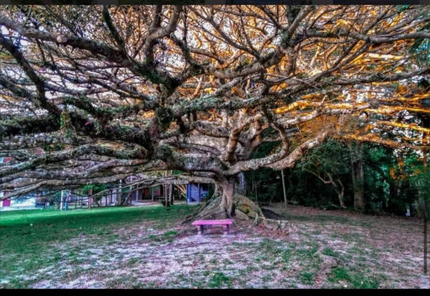 Imagem Terreno à Venda, 516 m² em Cidreira Imagem Terreno à Venda, 516 m² em Cidreira