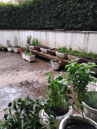 Imagem Imóvel com 3 Quartos à Venda, 134 m² em Cambuí - Campinas Imagem Imóvel com 3 Quartos à Venda, 134 m² em Cambuí - Campinas