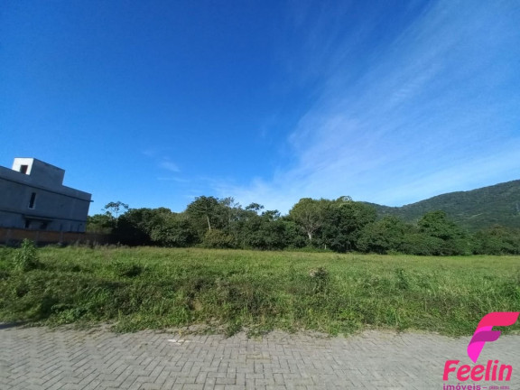 Imagem Terreno à Venda, 460 m² em Ribeirão Da Ilha - Florianópolis Imagem Terreno à Venda, 460 m² em Ribeirão Da Ilha - Florianópolis