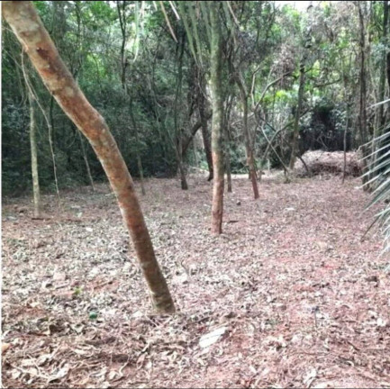 Terreno à Venda, 360 m² em São Lucas - Viamão