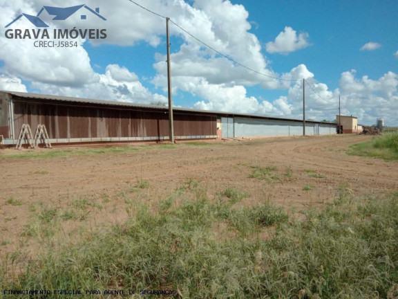 Imagem Chácara com 4 Quartos à Venda, 80 m² em Florida - Flórida Imagem Chácara com 4 Quartos à Venda, 80 m² em Florida - Flórida