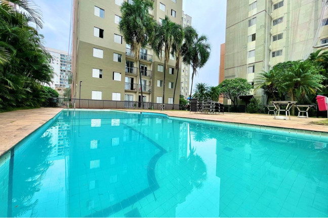 Imagem Apartamento com 3 Quartos à Venda, 61 m² em Cambuci - São Paulo Imagem Apartamento com 3 Quartos à Venda, 61 m² em Cambuci - São Paulo