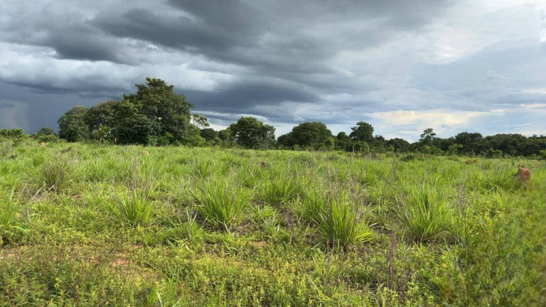 Imagem Fazenda à Venda, 1.000 m² em Cuiabá Imagem Fazenda à Venda, 1.000 m² em Cuiabá