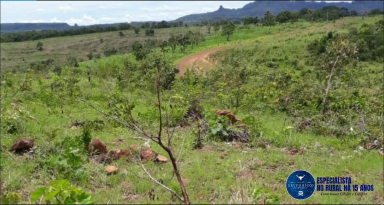 Imagem Fazenda à Venda, 209 m² em Zona Rural - Doverlândia Imagem Fazenda à Venda, 209 m² em Zona Rural - Doverlândia