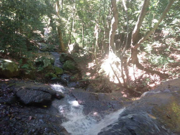 Imagem Imóvel à Venda, 7.700 m² em Voluntária Baixa - Igrejinha Imagem Imóvel à Venda, 7.700 m² em Voluntária Baixa - Igrejinha