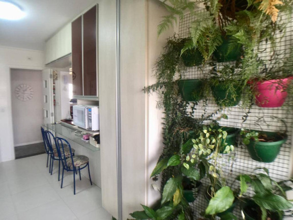 Imagem Apartamento com 3 Quartos à Venda, 105 m² em Vila Da Saúde - São Paulo