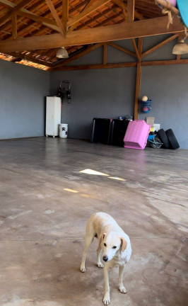 Imagem Casa com 3 Quartos à Venda, 1.000 m² em Mairiporã Imagem Casa com 3 Quartos à Venda, 1.000 m² em Mairiporã