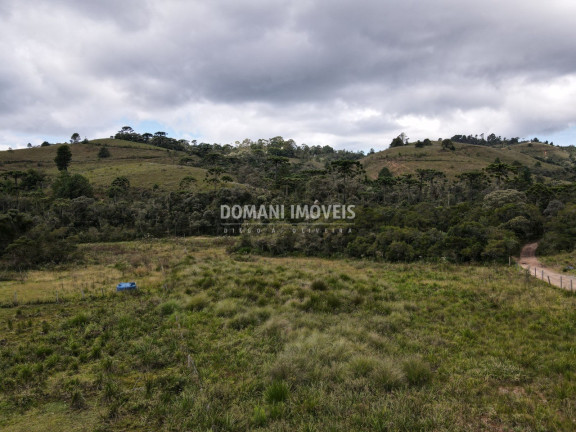 Imagem Terreno à Venda, 7.500 m² em Região Do Parque Da Ferradura - Campos Do Jordão Imagem Terreno à Venda, 7.500 m² em Região Do Parque Da Ferradura - Campos Do Jordão
