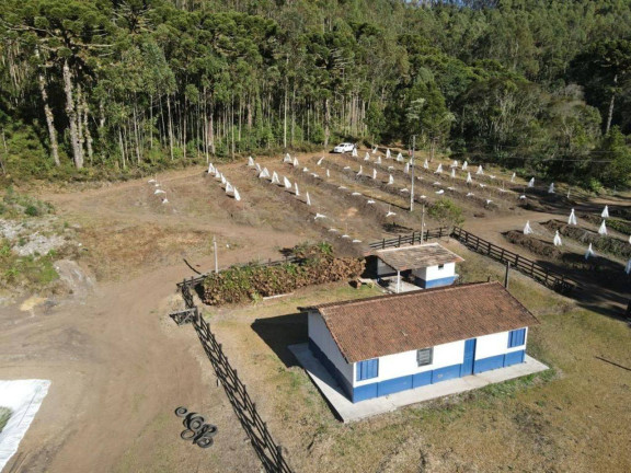 Imagem Fazenda à Venda, 4.463.400 m² em Zona Rural - Maria Da Fé Imagem Fazenda à Venda, 4.463.400 m² em Zona Rural - Maria Da Fé