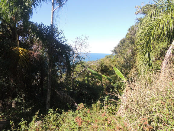 Imagem Terreno à Venda, 16.948 m² em Praia Da Ferrugem - Garopaba