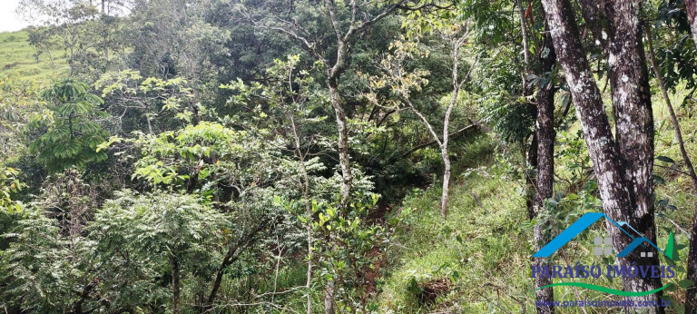 Imagem Chácara com 2 Quartos à Venda, 13 m² em Centro - Paraisópolis
