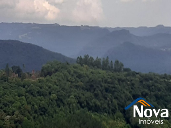 Imagem Imóvel à Venda, em Linha Olinda - Nova Petrópolis Imagem Imóvel à Venda, em Linha Olinda - Nova Petrópolis