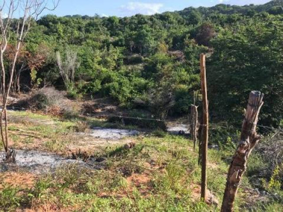 Imagem Terreno à Venda, 19.000 m² em Tibau Do Sul Imagem Terreno à Venda, 19.000 m² em Tibau Do Sul